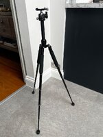 IMG_1208.JPG
