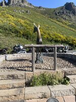 IMG_1323.jpeg