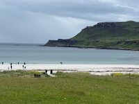 IMG_6146.jpeg