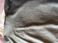 IMG_2630.jpeg