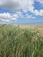 20260701_103108.jpg