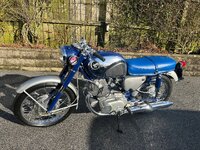 IMG_7163.jpeg