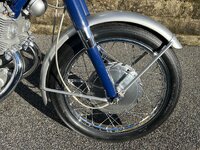 IMG_7155.jpeg