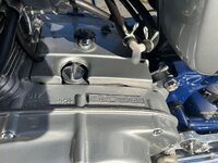 IMG_7173.jpeg