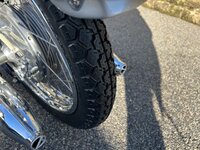 IMG_7169.jpeg