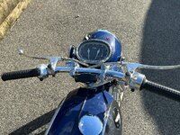 IMG_7162.jpeg