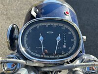 IMG_7161.jpeg