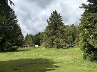IMG_6108.jpeg IMG_6108.jpeg