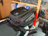 IMG_3445.jpeg