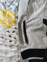 IMG_2894.jpeg