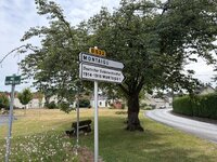 IMG_6536.jpeg