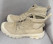 IMG_2356.jpeg