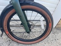 IMG_1999.jpeg