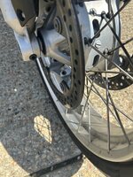 IMG_5649.jpeg IMG_5649.jpeg