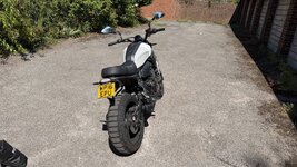 IMG_3573_compressed.jpg