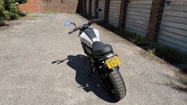 IMG_3574_compressed.jpg