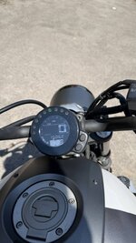 IMG_3570_compressed.jpg