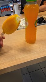 IMG-20260626-WA0004.jpeg