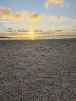 20260708_052248.jpg