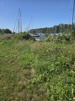 20260708_101450.jpg