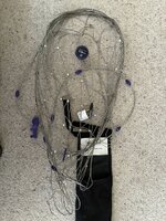IMG_7933.jpeg