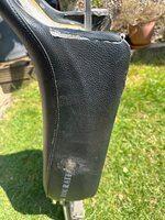 IMG_4870.jpeg