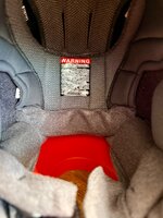 IMG_9965.jpeg