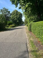 IMG_0275.jpeg