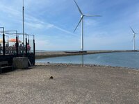 IMG_0282.jpeg