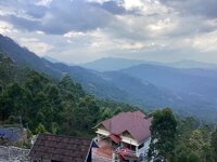IMG_4357.jpeg