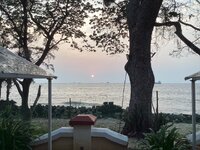 IMG_4360.jpeg