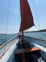 IMG_2422.jpeg