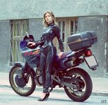 oily bikerbird.jpg