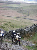 138520074-L.jpg