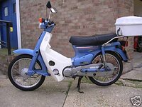 cub 2.jpg