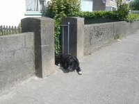 ireland 2008 119.jpg