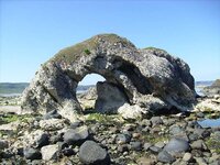 beach 016.jpg