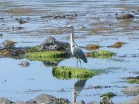 beach 028.jpg