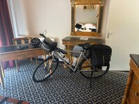 IMG_0293.jpeg IMG_0293.jpeg