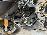 IMG_2391.jpeg