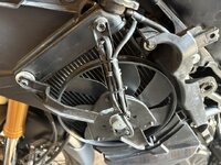 IMG_2394.jpeg