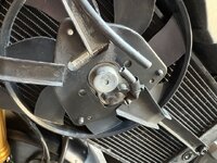 IMG_2393.jpeg