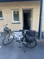 IMG_0295.jpeg