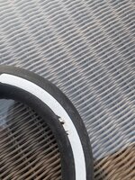 IMG_3543.jpeg