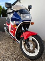 IMG_0790.jpeg