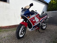IMG_0786.jpeg