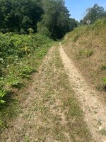 IMG_0310.jpeg
