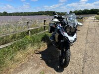 IMG_4939.jpeg IMG_4939.jpeg