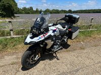 IMG_4938.jpeg IMG_4938.jpeg