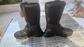 IMG_0739.jpeg
